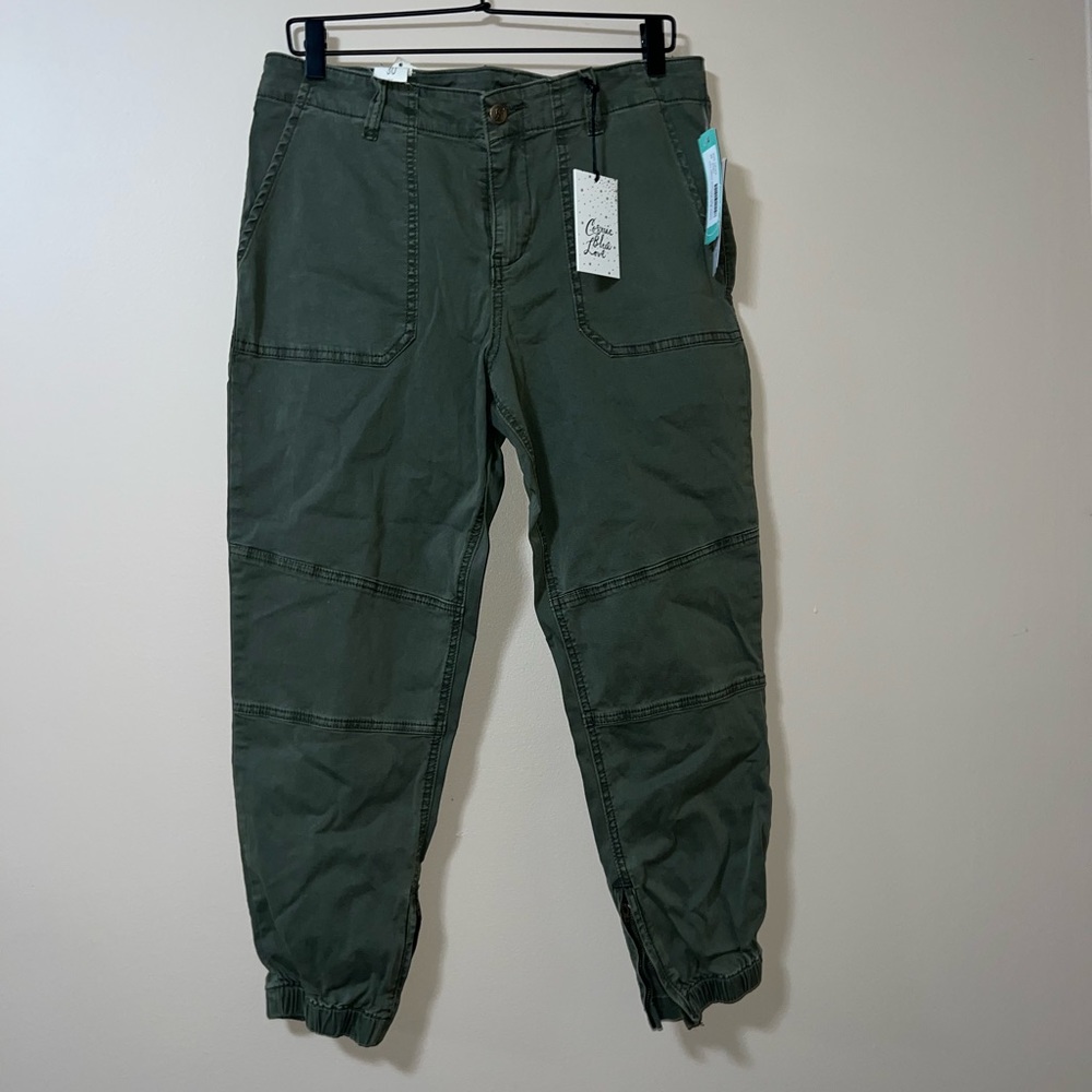 Cosmic Blue Love Dustin Ankle Zip Detail Jogger Pant Size 30